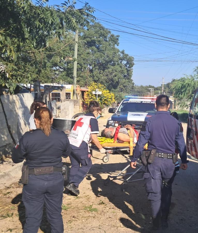Cae abuelo de techo recolectaba nueces
