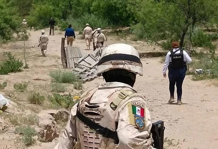 Desmantelan banda de “polleros” en PN