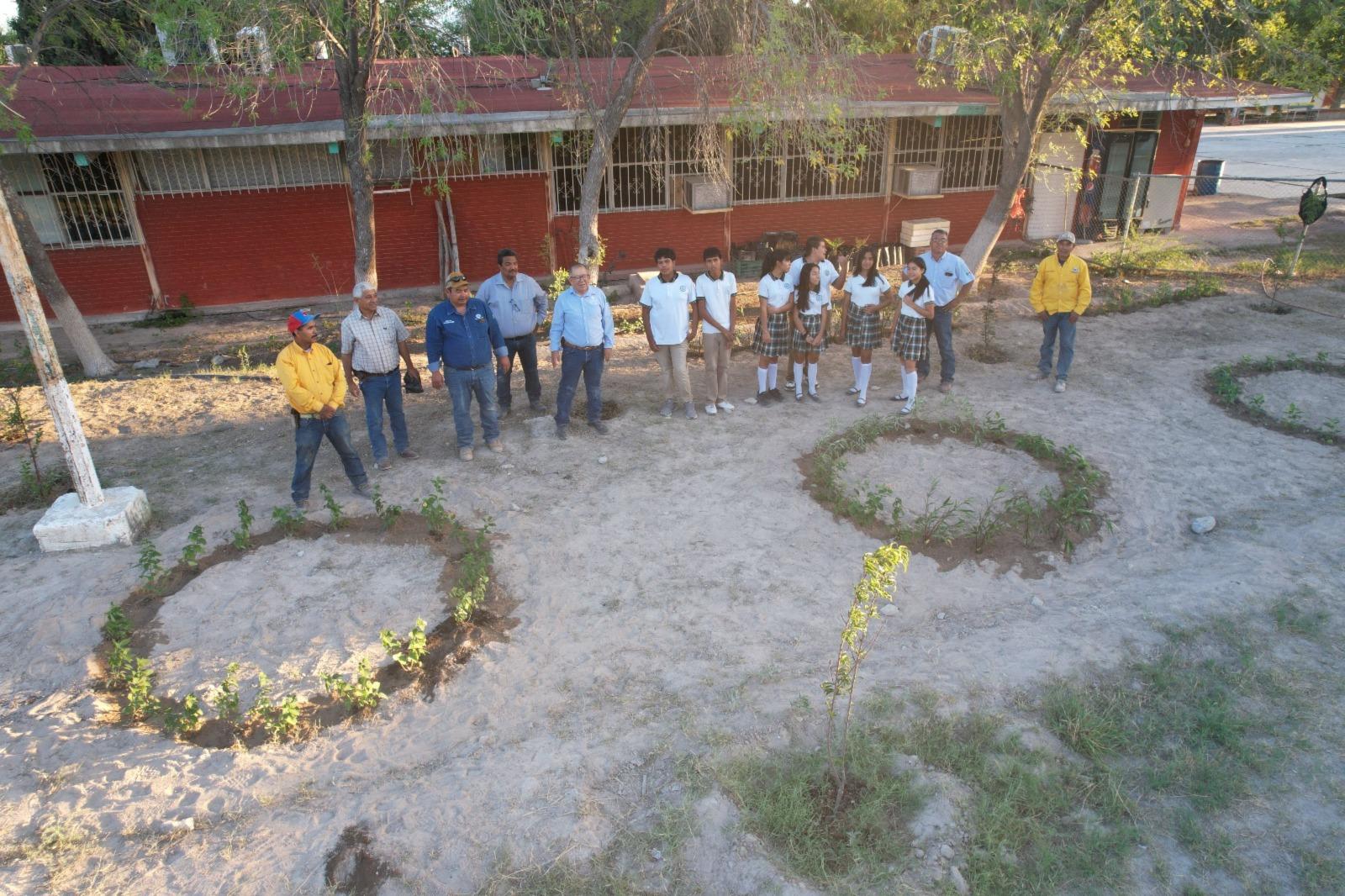 Impulsan en 4-C sustentabilidad