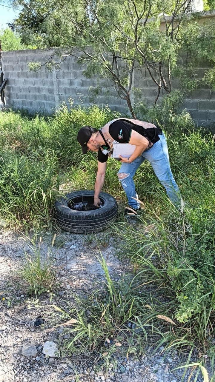 INCREMENTA COAHUILA ACCIONES ANTI-DENGUE