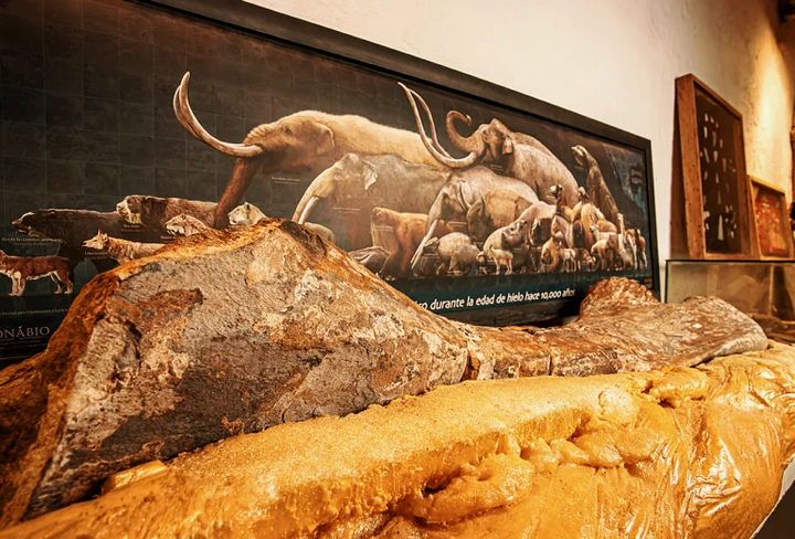 Coahuila: La Tierra de los Dinosaurios