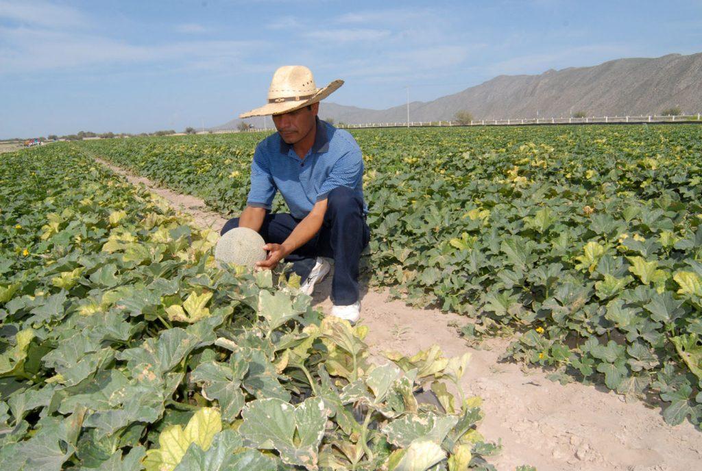 Reporta INEGI repunta Economía en Coahuila