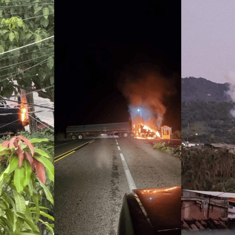 Enfrentamientos en Tecpan, Guerrero, dejan 16 muertos; hay 11 detenidos