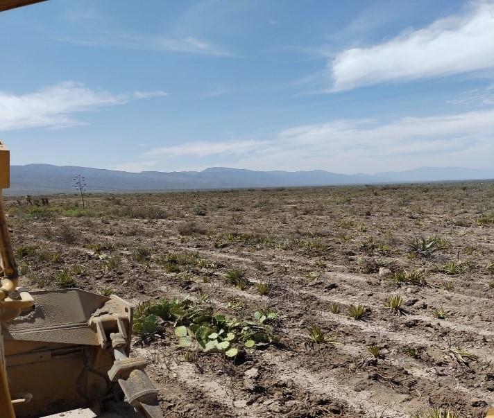 El campo de México está en agonía: UNTA