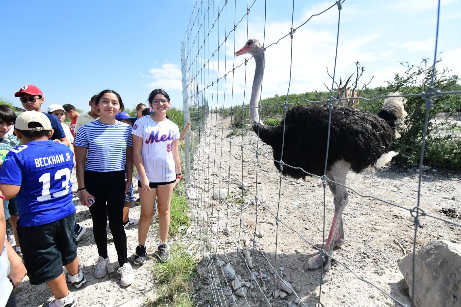 Cierra trienio con 300 animales en zoológico