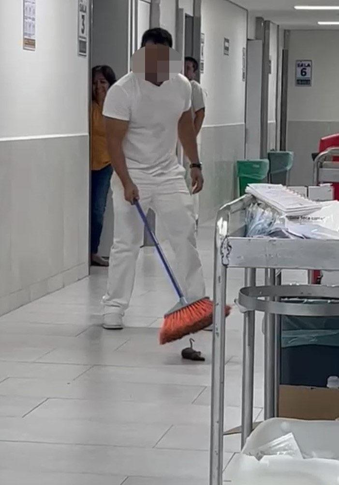 Azota plaga de ratas en Clínica 7 del IMSS