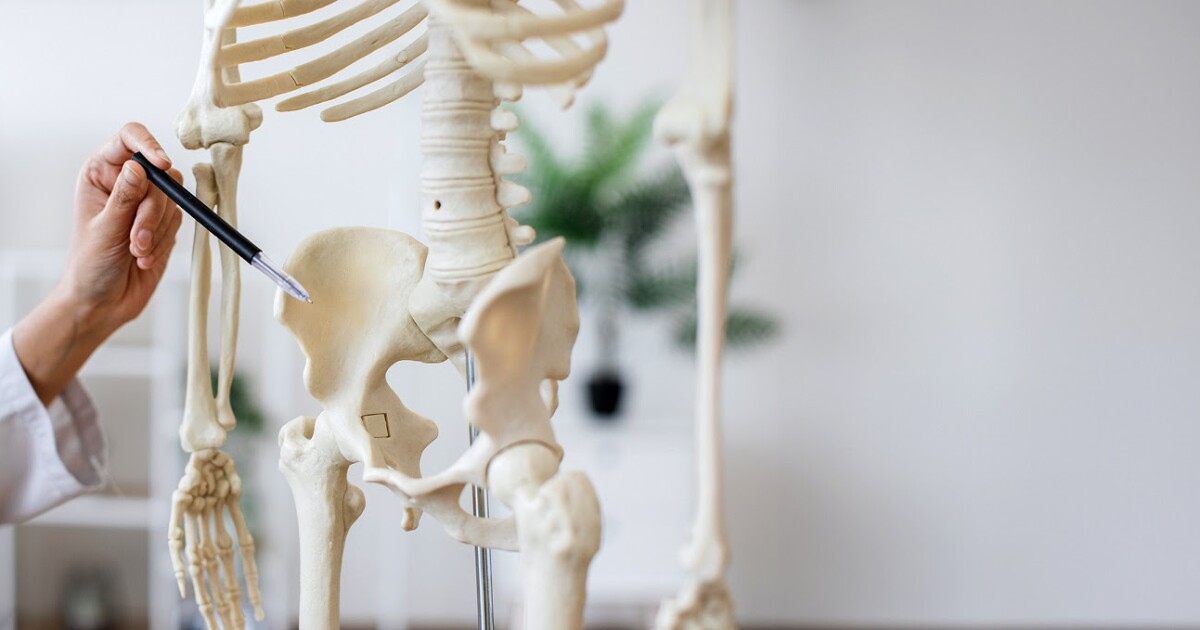 Aprende los signos de la osteoporosis