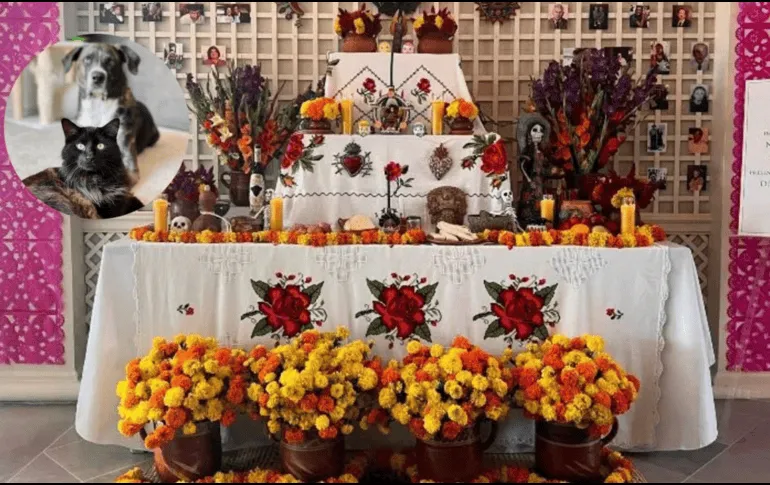 Día de Muertos 2024: Alimentos de la ofrenda que hacen daño a tus mascotas