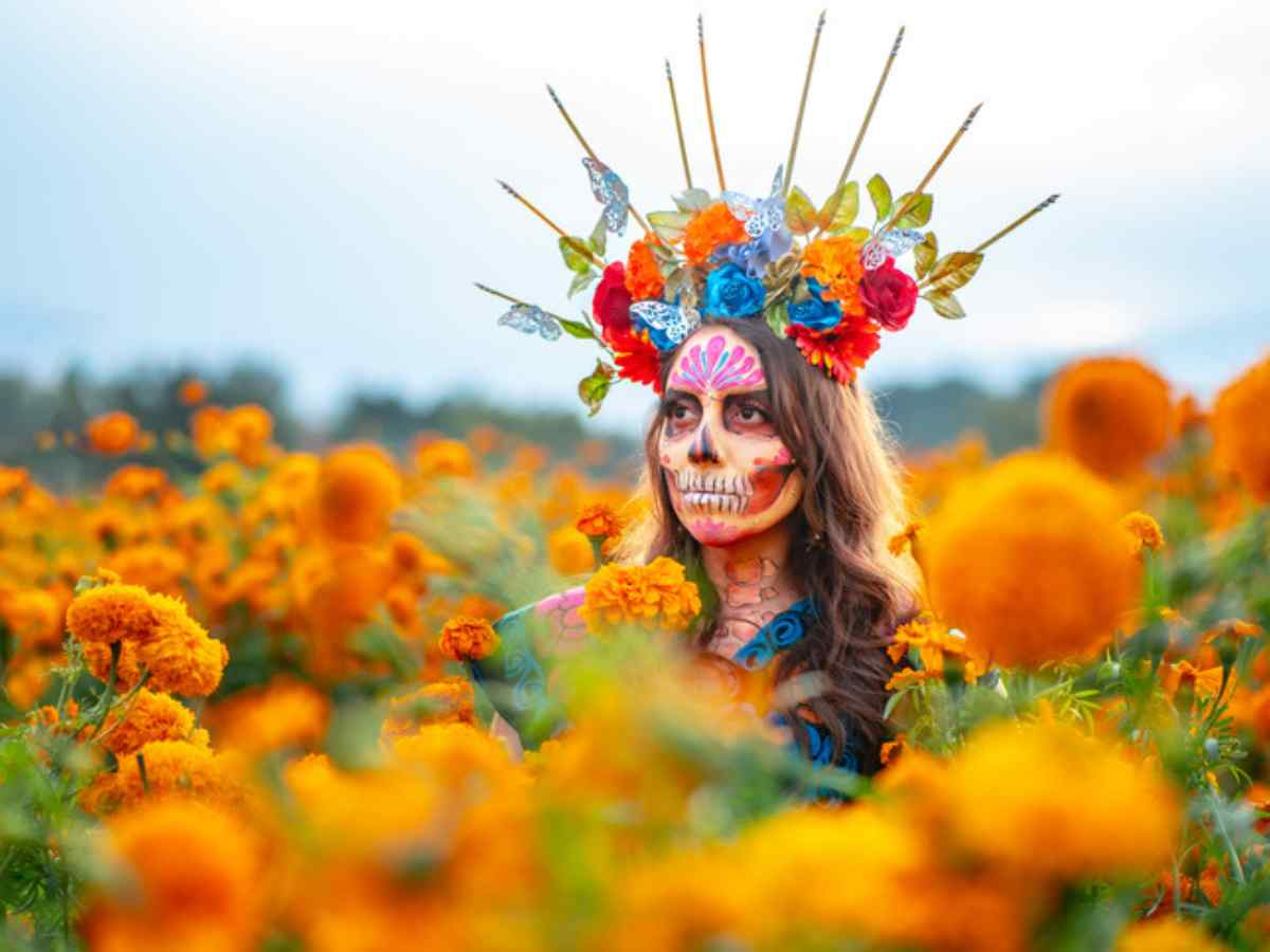 Flor de cempasúchil, así es como se produce para el Día de Muertos