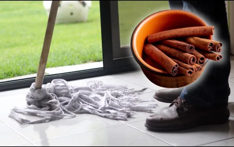 Truco de limpieza para alejar cucarachas e insectos de tu hogar