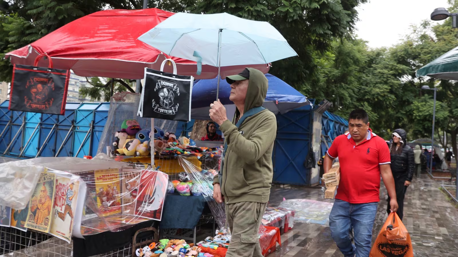 Temporal de lluvias y 2 frentes fríos afectarán estas entidades de México