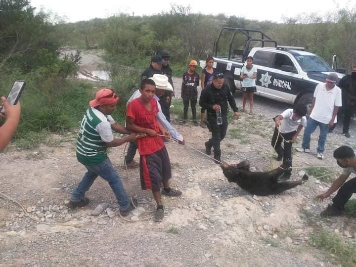 Condenan a 5 policías a trabajo comunitario