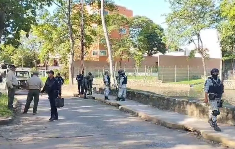 Descubren a cocodrilo comiendo cuerpo de joven reportado como desaparecido en Tabasco