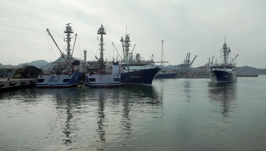 EU sanciona a pescadores por vínculos con el Cártel del Golfo