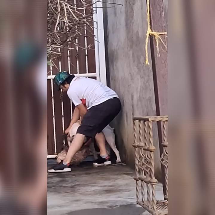 Ataca perro a joven en NR