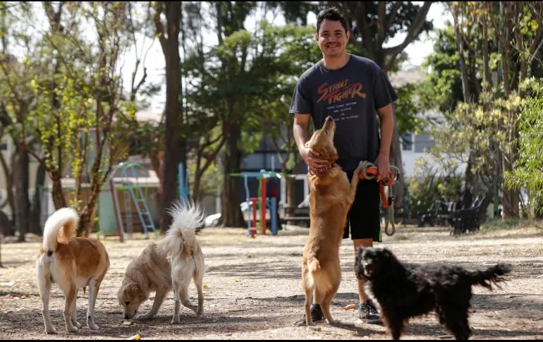Por esta razón los perros se parecen a sus dueños