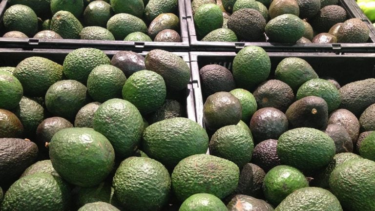 Aguacates y otros productos frescos subirían en EU por arancel a México: expertos
