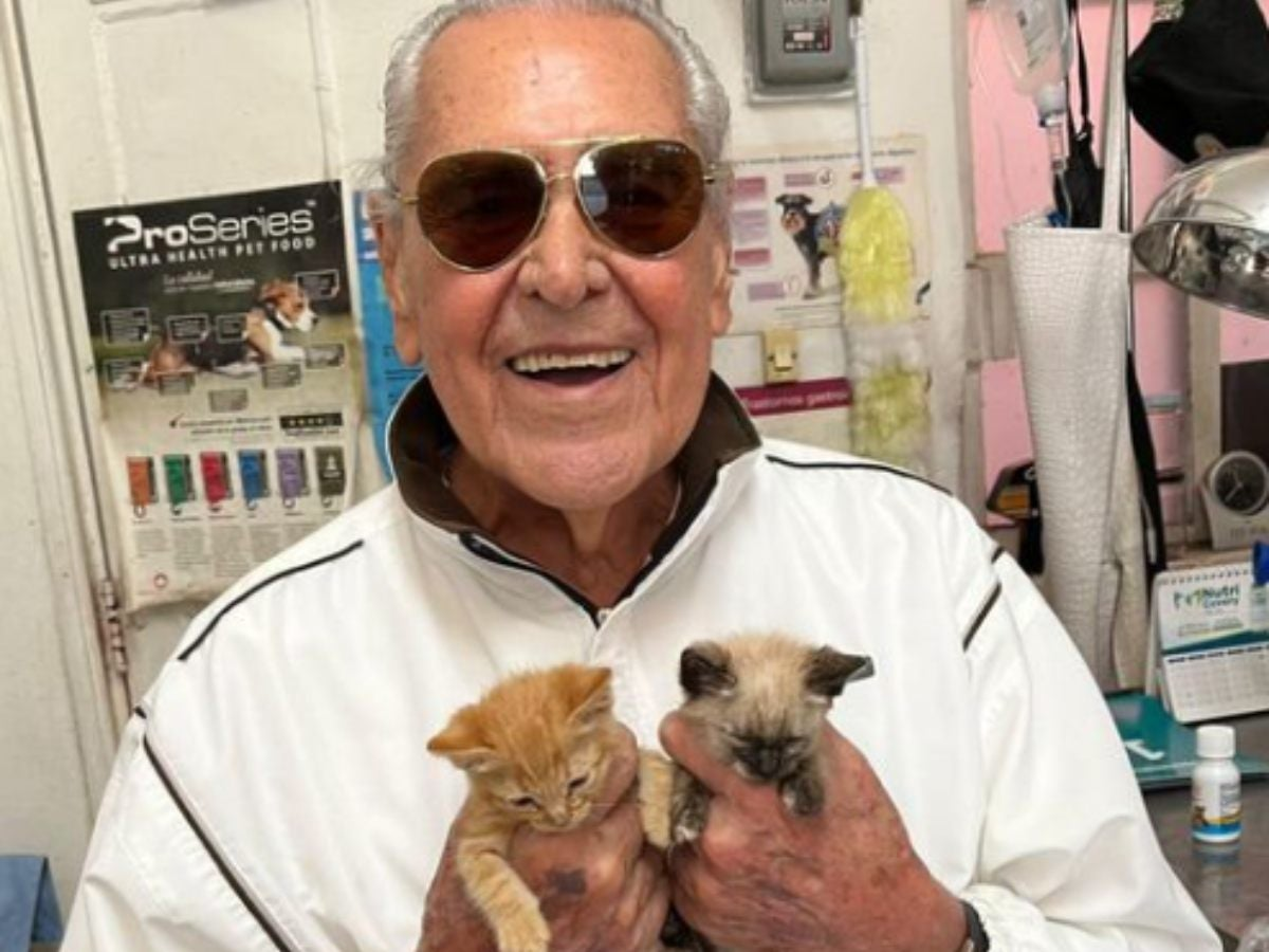 Eric del Castillo y su esposa Kate adoptaron gatitos abandonados