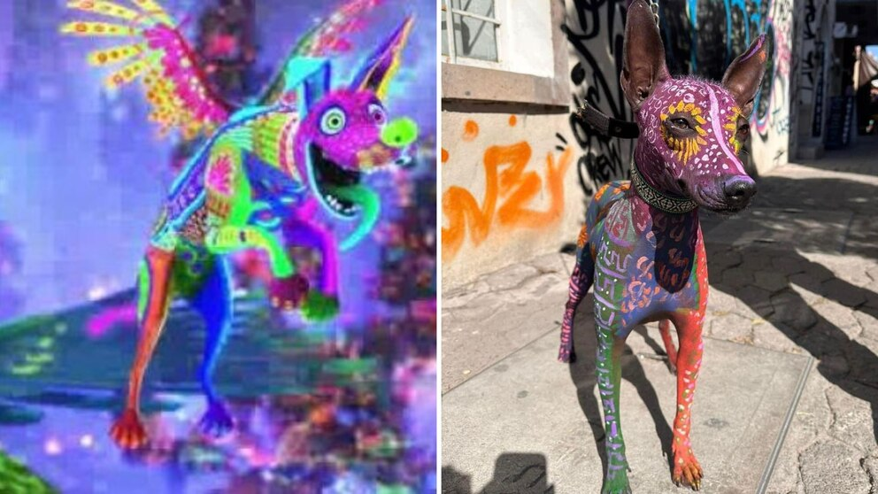 Perrita Xoloitzcuintle es pintada como el alebrije ‘Dante’ de la película Coco