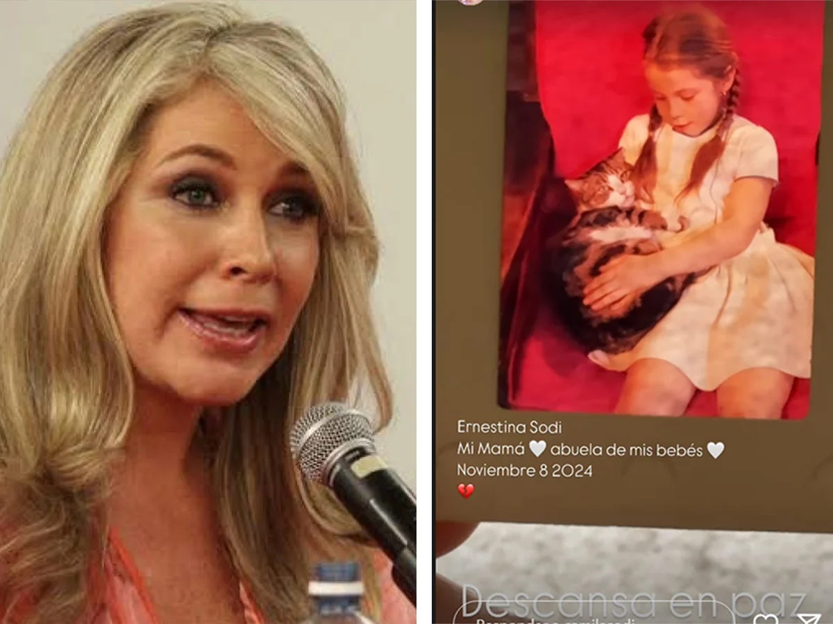 Ernestina Sodi no firmó su voluntad anticipada, fue su hija Camila Sodi ¿es válido?