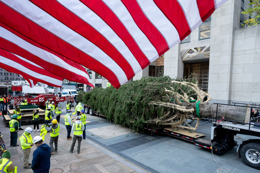 El árbol de Navidad llegó al Rockefeller Center de Nueva York: será encendido el próximo 4 de diciembre
