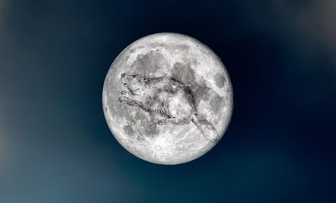 Luna del Castor 2024; estos días faltan para ver el fenómeno astronómico en México
