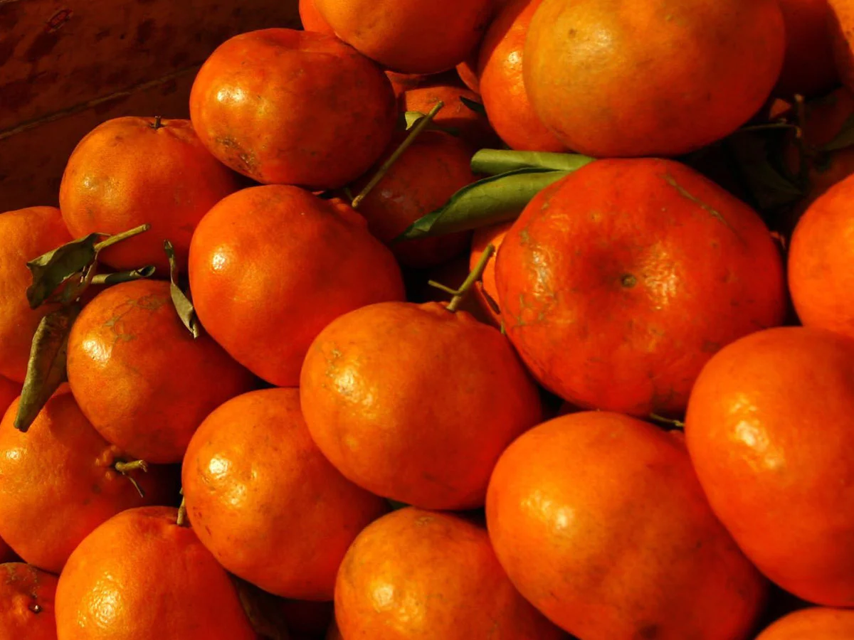 Mandarina, un sabroso aliado contras las infecciones, diabetes y hasta el cáncer