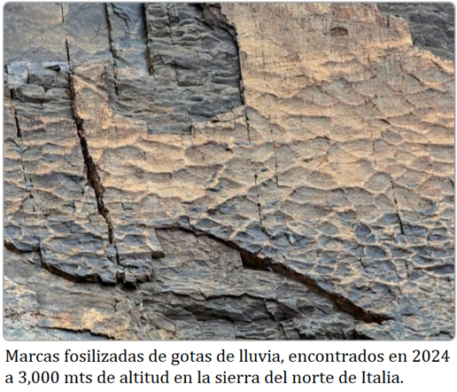 PALEO-ICNOLOGÍA