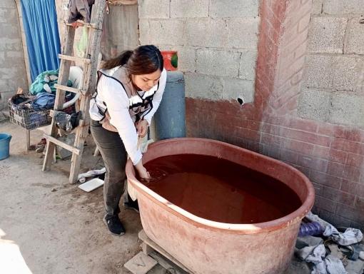 Riesgo de dengue persiste en invierno