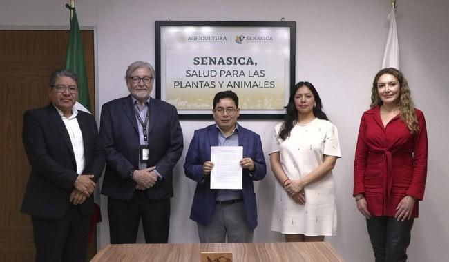 Reanuda exportación de ganado en 2025