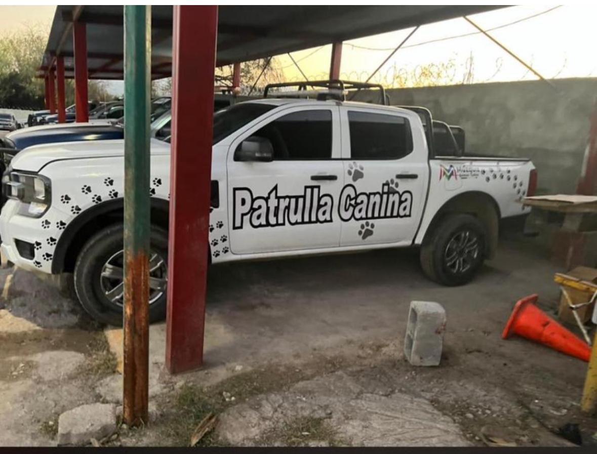 Crea Tania Flores Policía Canina
