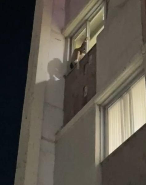 Lo salvan los bomberos con auxilio psicológico