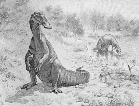 EL HADROSAURIO DE COAHUILA
