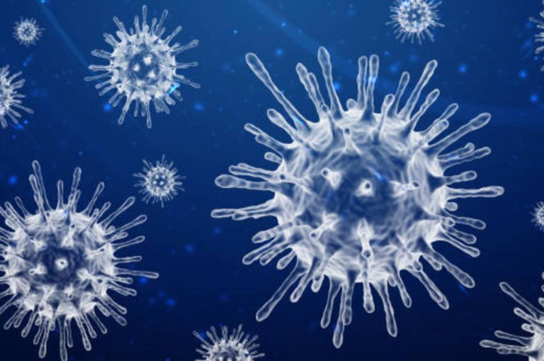 ¿Qué sabemos del virus que podría convertirse en la próxima emergencia mundial?