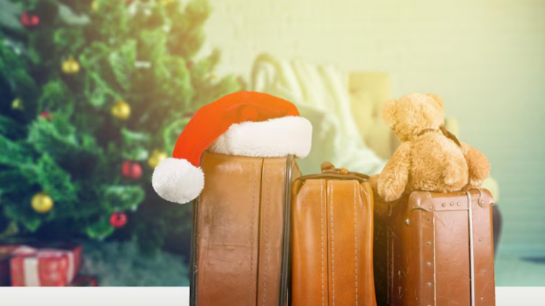 ¡Paisano! Estos son los productos con los que no puedes venir a México si regresas por Navidad