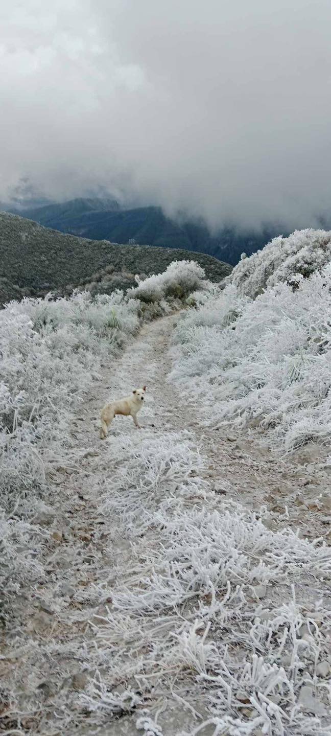 Se cubre de hielo la Región Carbonífera
