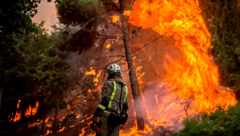 2024: EL AÑO CON MÁS INCENDIOS FORESTALES EN MÉXICO.