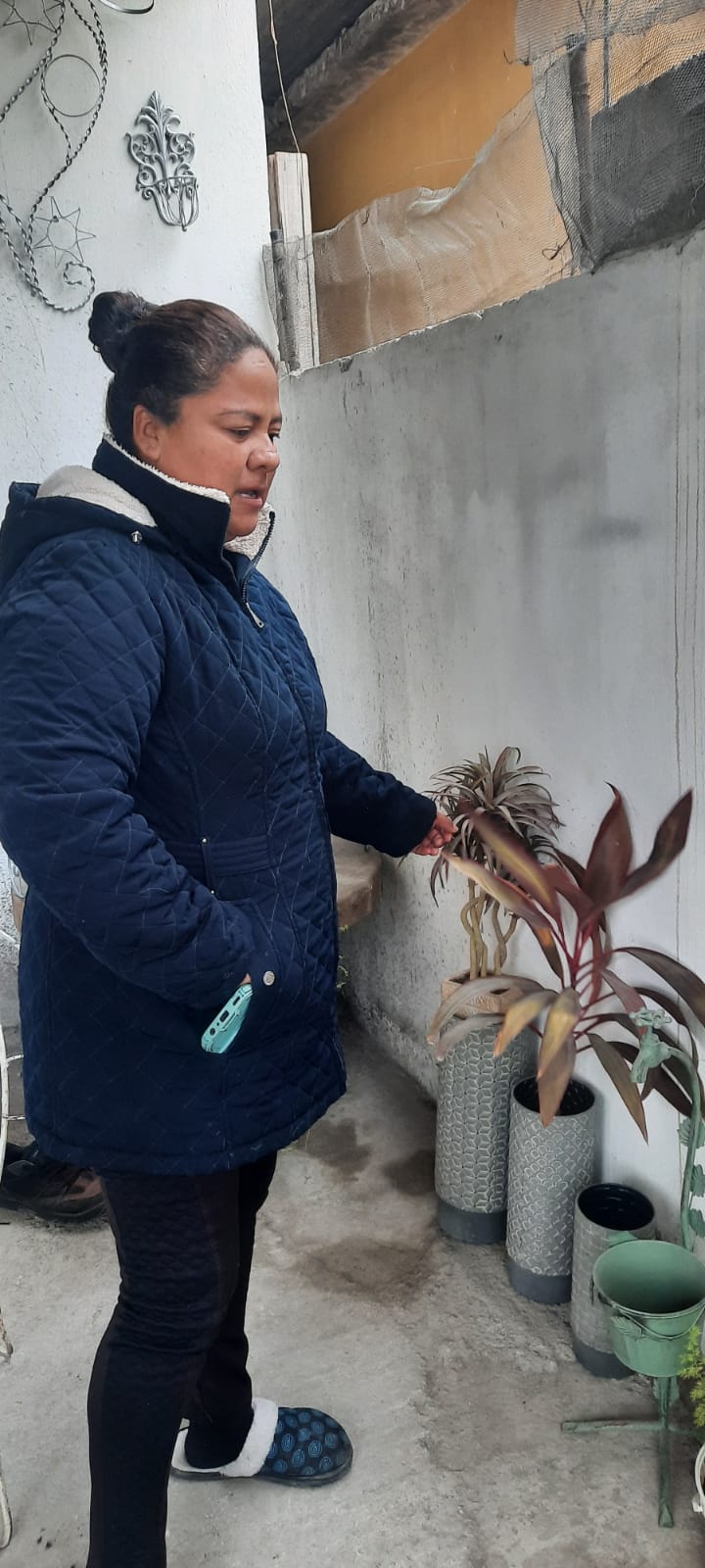 Lo mejor para proteger las plantas es el cartón