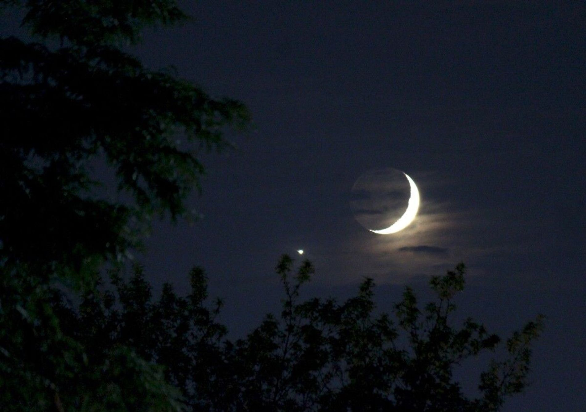 ¡Todo listo para la Luna de Nieve! Este y otros eventos astronómicos de febrero 2025