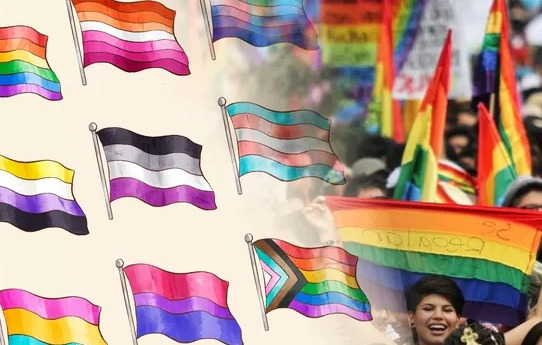 Facebook e Instagram permitirán llamar «enfermos mentales» y «anormales» a personas LGBT+