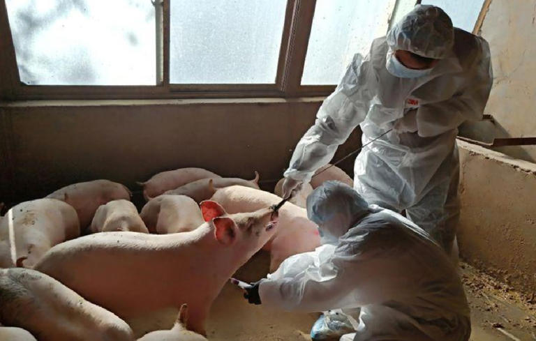 Aumentan en Nuevo León y en México los casos de zoonosis en el 2024