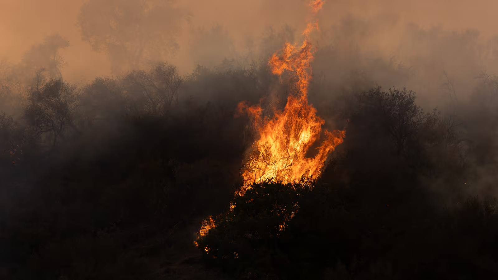 Incendios en Los Ángeles continuarán esta semana: ¿Por qué el fuego aún está fuera de control?