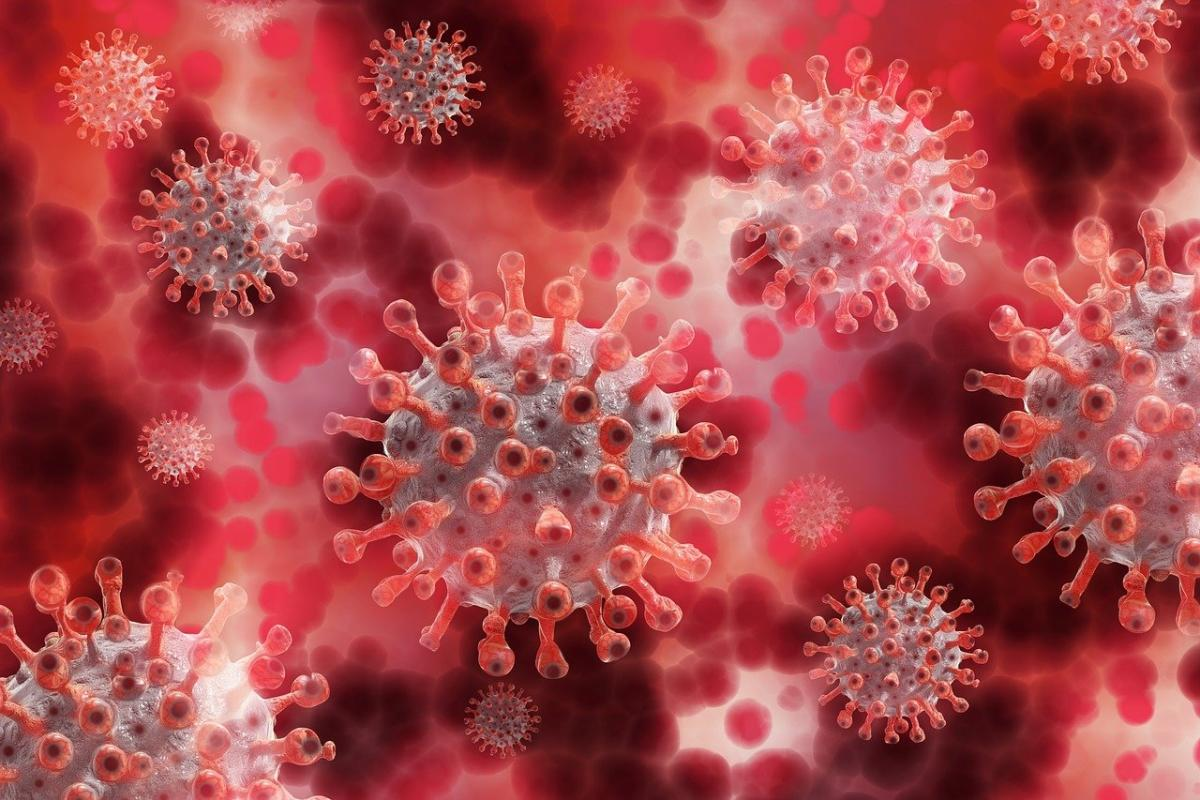 Puebla reporta primer contagio de Metapneumovirus humano y posible fallecimiento