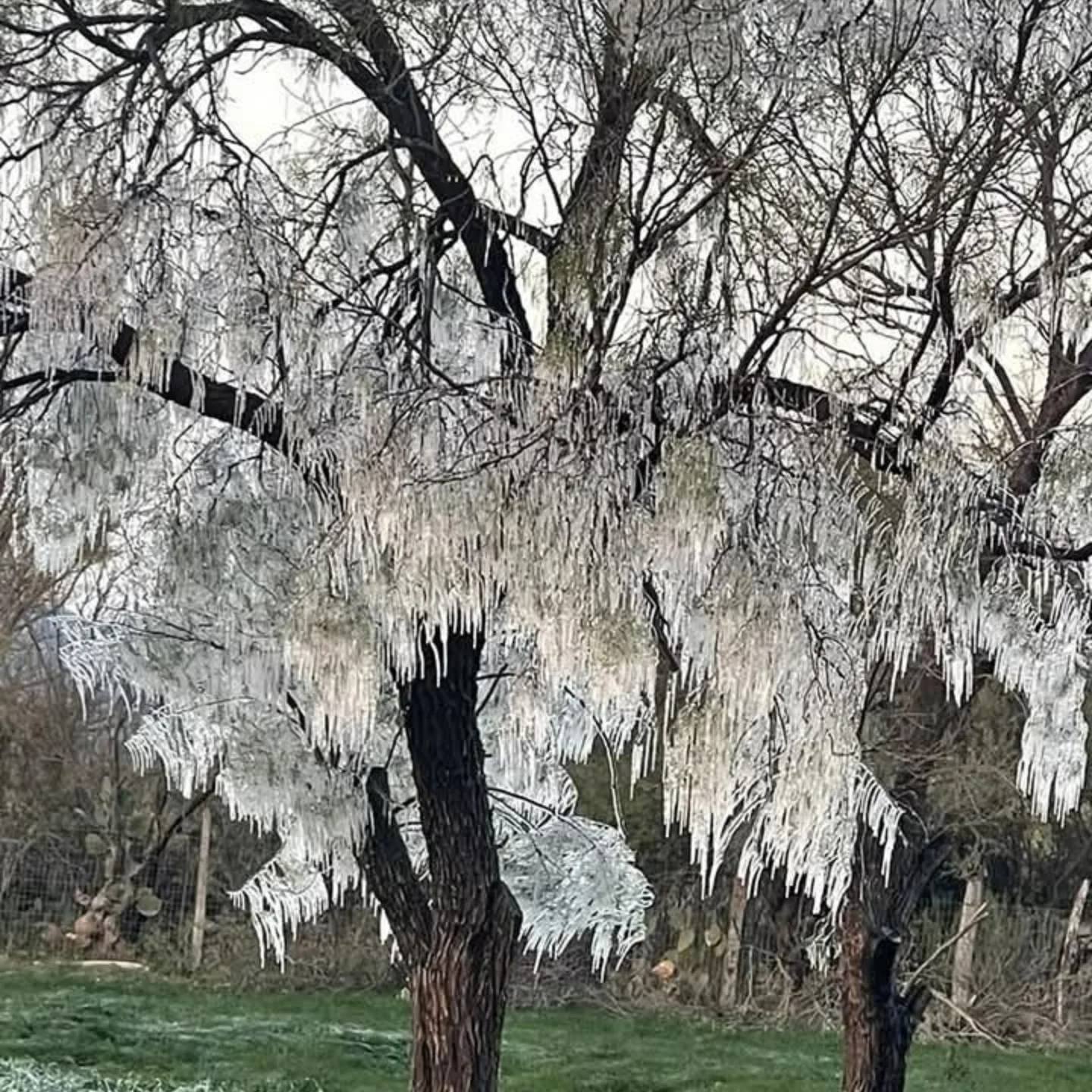 Ofrece primera helada maravillosos paisajes