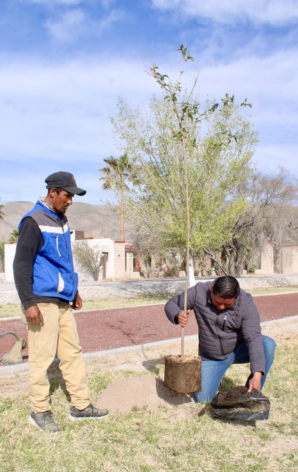 Arranca ‘Reforestando Nuestras Plazas’ en 4-C