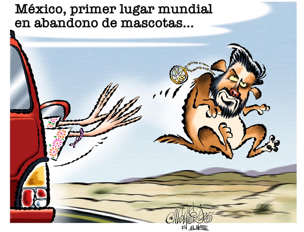ERMITA 318