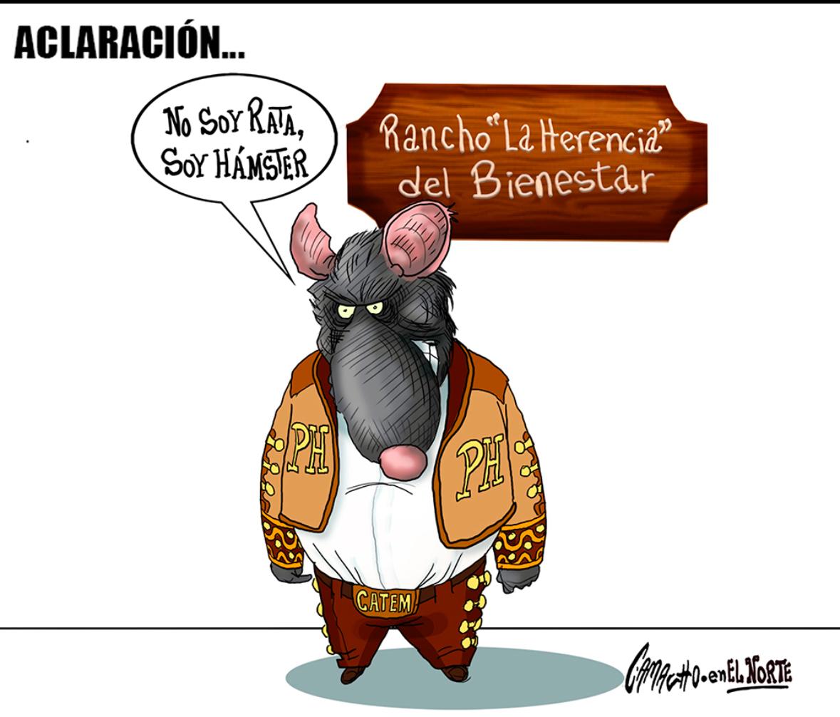 ERMITA 318