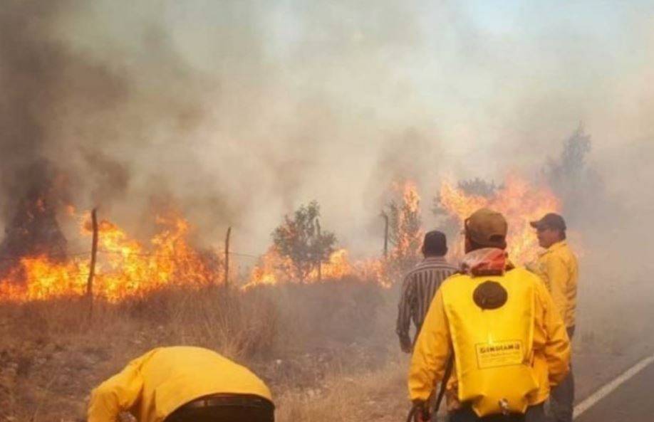 Coahuila refuerza el combate a incendios