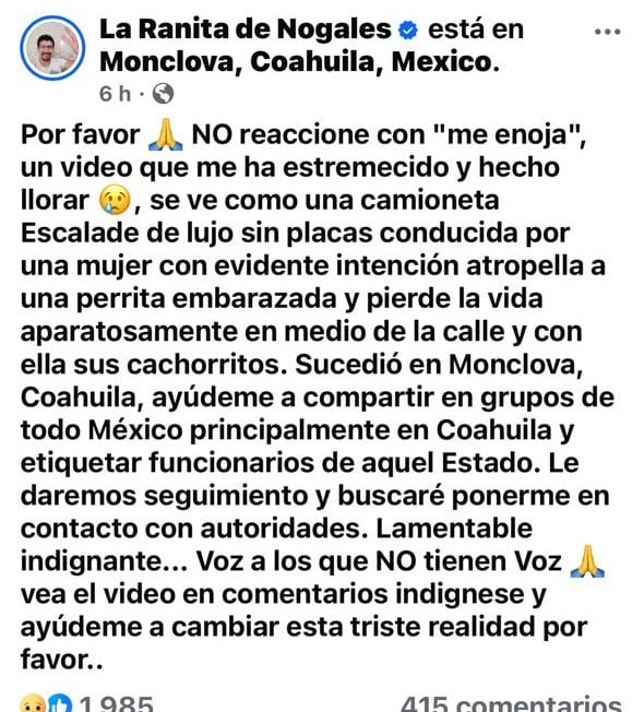 Arrolla por “diversión” a perrita embarazada