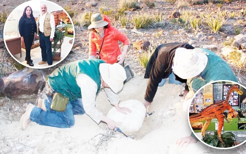 Nueva especie de dino en Coahuila